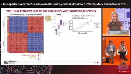 Menopause exacerbates cardiovascular–kidney–metabolic–driven inflammatory and metabolic remodeling leading to diastolic dysfunction in a female swine model
