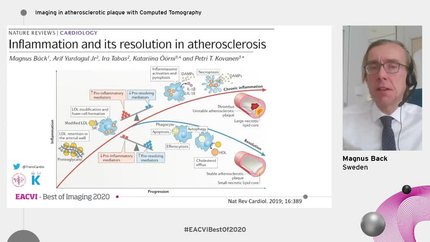 Presentation thumbnail
