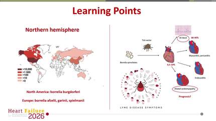 Presentation thumbnail