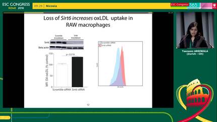 Presentation thumbnail