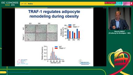 Diet-induced obesity requires signalling through Tumor Necrosis Factor Receptor-Associated Factor 1 (TRAF-1) in adipocytes