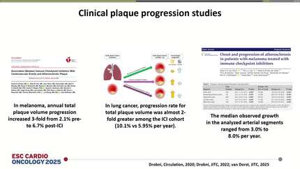 Presentation thumbnail
