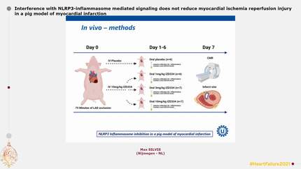 Presentation thumbnail