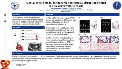 A novel mouse model for mineral homeostasis disrupting induced calcific aortic valve stenosis 