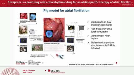 Presentation thumbnail