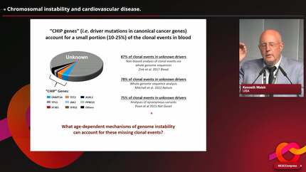 Presentation thumbnail