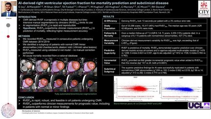 AI-derived right ventricular ejection fraction for mortality prediction and subclinical dysfunction