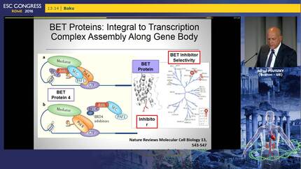 Understanding BET inhibition as a novel pathway for cardiovascular risk modulation.