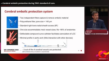 TAVI turned 20! A look back and a vision for the future