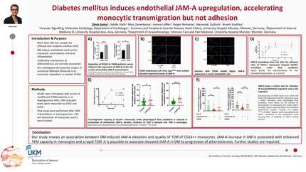 Presentation thumbnail