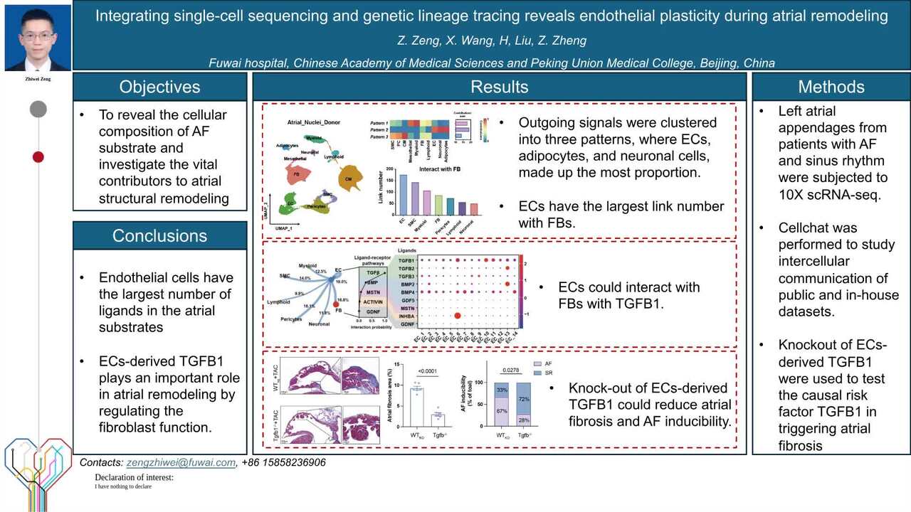 Integrating single-cell sequencing and genetic lineage tracing reveals endothelial plasticity during atrial remodeling