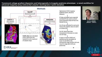 Transmural voltage gradient dispersion and heterogeneity in brugada syndrome phenotype - a novel workflow for advanced mapping using endocardial unipolar electrograms J-point elevation