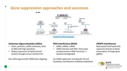 Gene therapy in HCM -  the New Horizons