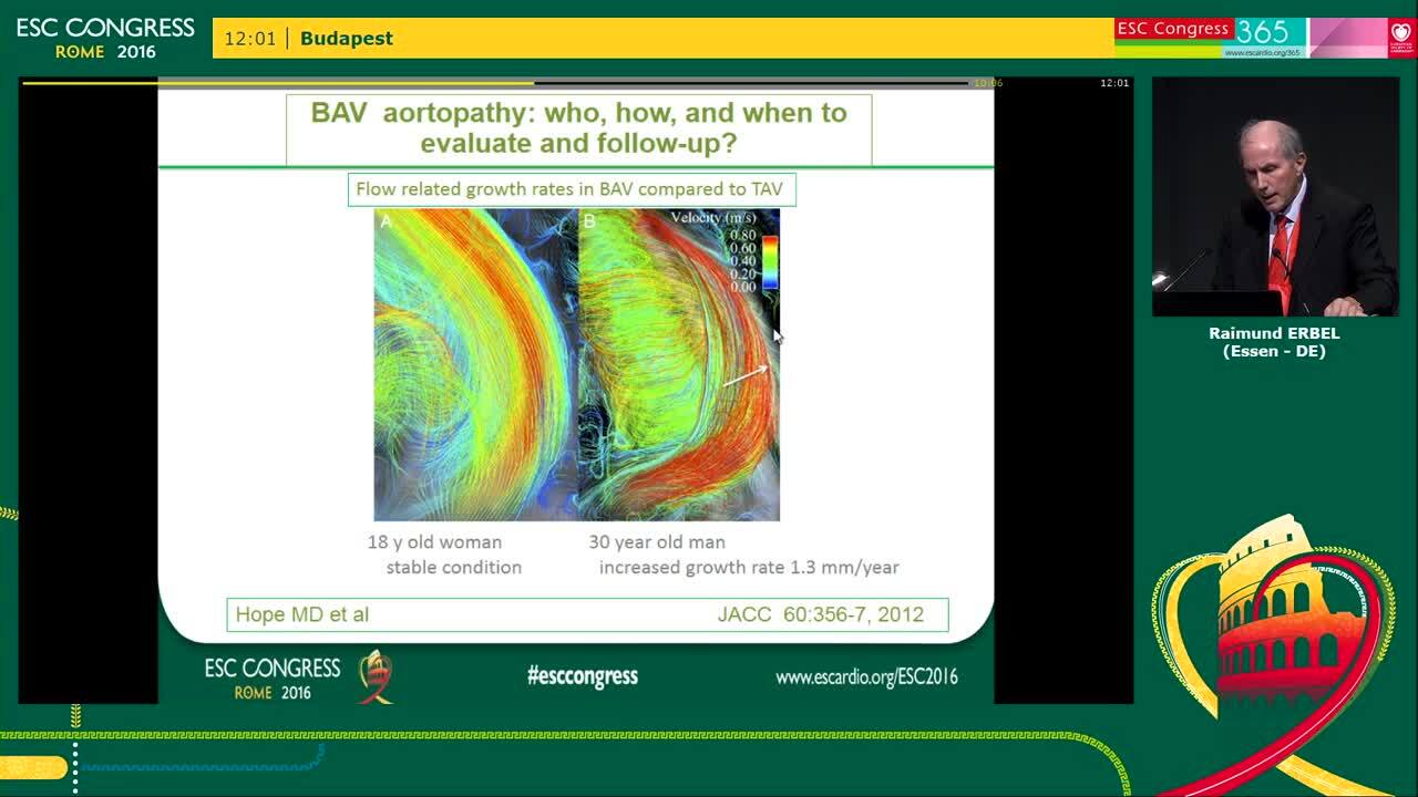 Bicuspid aortic valve aortopathy: who, how, and when to evaluate and follow-up? 
