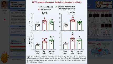 Presentation thumbnail