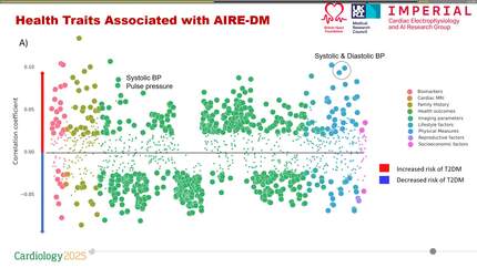Presentation thumbnail