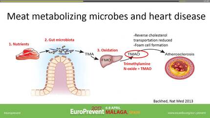 Diet and the microbioom: the next frontier.