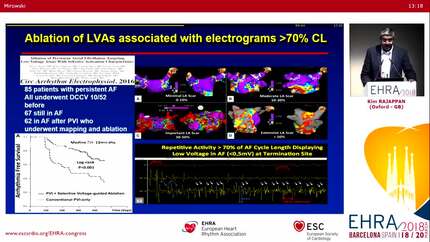 Persistent atrial fibrillation, what have we learned?