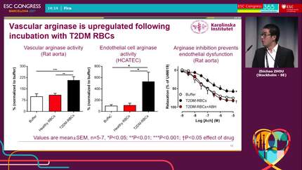 Red blood cells from patients with type 2 diabetes mellitus induce vascular endothelial dysfunction via a mechanism involving vascular arginase I and reactive oxygen species 