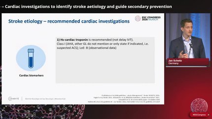 Improving outcomes in atrial fibrillation-related stroke: interventions beyond anticoagulation