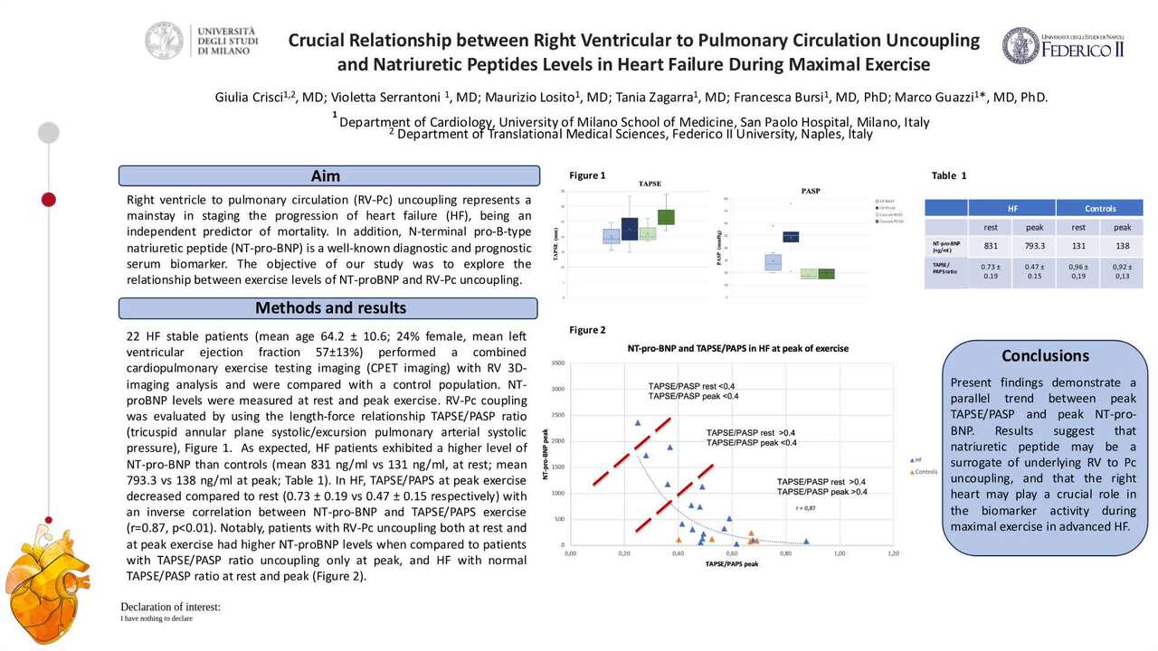 Presentation thumbnail