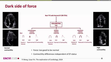 Presentation thumbnail