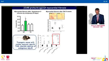 Presentation thumbnail