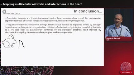 Presentation thumbnail