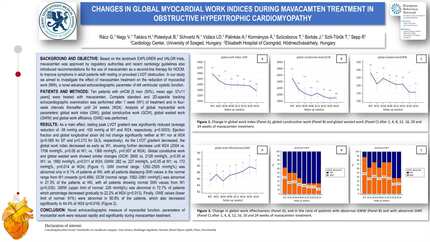Changes in global myocardial work indices during mavacamten treatment in obstructive hypertrophic cardiomyopathy