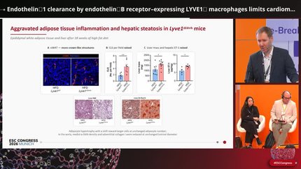 Endothelin‑1 clearance by endothelin‑B receptor–expressing LYVE1⁺ macrophages limits cardiometabolic disease progression