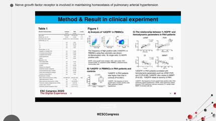 Nerve growth factor receptor is involved in maintaining homeostasis of pulmonary arterial hypertension