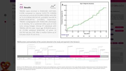 The role of TBX20 truncating variants in dilated and left ventricular non-compaction cardiomyopathy