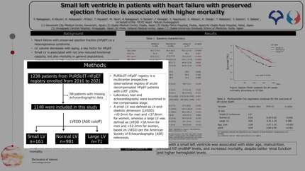 Presentation thumbnail