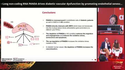 Long non-coding RNA PANDA drives diabetic vascular dysfunction by promoting endothelial senescence and oxidative stress