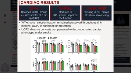 Regulatory role of Uncoupling Protein 2 (UCP2) in a rat model of chronic tobacco smoke-induced cardiopulmonary comorbidity