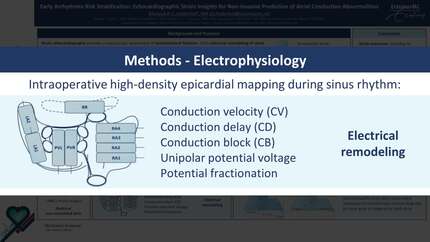 Early arrhythmia risk stratification: echocardiographic strain insights for non-invasive prediction of atrial conduction abnormalities 