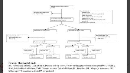 Effect of tumour necrosis factor inhibitor or interleukin-6 inhibitor treatment on exercise-induced reductions in visceral adipose tissue mass in patients at high risk of cardiovascular disease