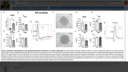 Presentation thumbnail