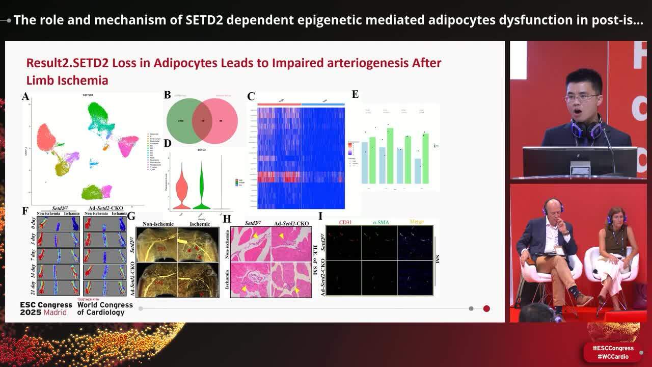 Epigenetic regulation in cardiometabolic and vascular disease