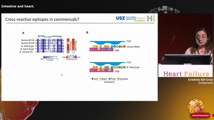 Presentation thumbnail