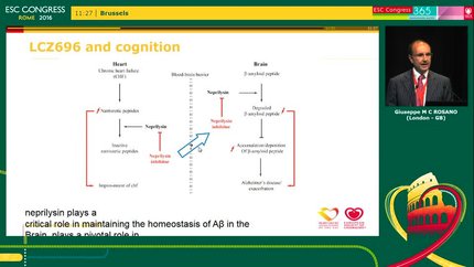 Presentation thumbnail