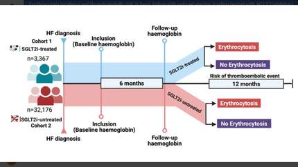 Presentation thumbnail