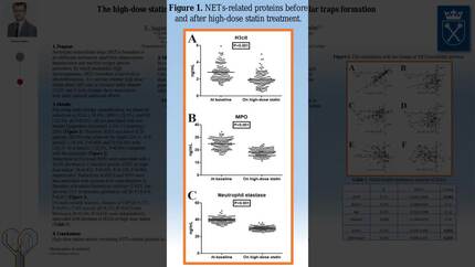 Presentation thumbnail
