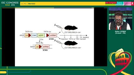 Presentation thumbnail