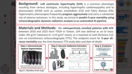 Predicting five-year mortality in patients with left ventricular hypertrophy based on dynamic radiomics from transthoracic echocardiography