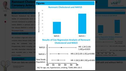Remnant cholesterol predicts major cardiovascular events in coronary artery disease patients with NAFLD