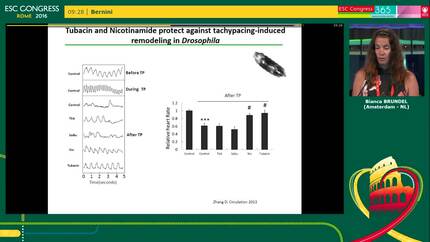Presentation thumbnail