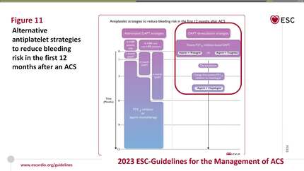 Presentation thumbnail