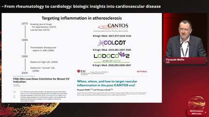 Presentation thumbnail