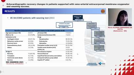 Presentation thumbnail